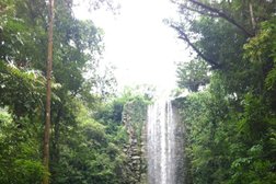 Waterfall Aviary